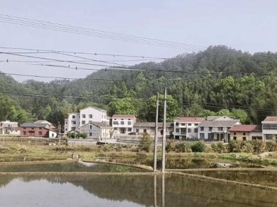 楊林村傳奇：古井、山石與御匾背后的故鄉記憶