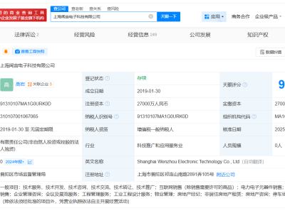 立訊精密接手聞泰科技大股東旗下公司