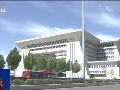 國產新能源車“領航員”：自駕出口，駛向國際舞臺
