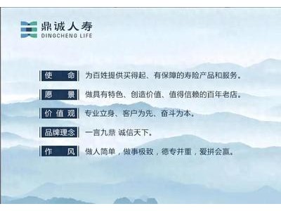 鼎誠人壽虧空23億，探尋其未來出路