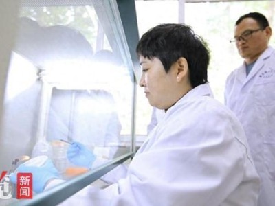 博士后的“研”值擔當丨“微生物奇兵”讓鹽堿地變身大糧倉