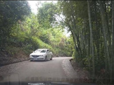 窄路會車遇對方停車讓行，這5點不注意可能吃大虧！