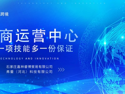 桐燚跨境大會啟示：TK熱潮下，國內(nèi)外電商市場機遇如何雙抓？