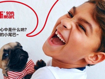 ?路斯股份2025H1業績：主糧外銷大增，新品牌“妙冠”上線強化多元市場布局?