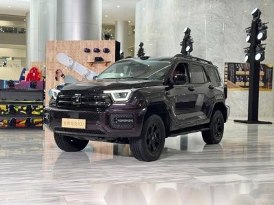 30.98萬起售!全新坦克400設計潮酷配置豪華,Hi4-Z/Hi4-T雙動力適配多場景