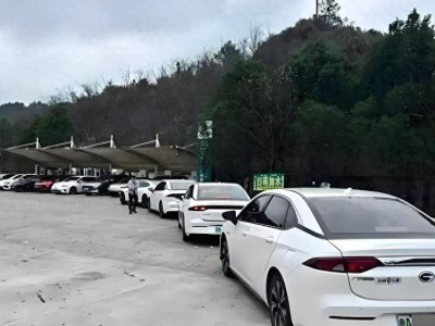 國內新能源充電無憂：統一國標顯優勢，海外充電遇麻煩成對比