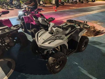 特斯拉Cyberquad兒童摩托：從搶手貨到二手4折，同城自提或成撿漏新選擇