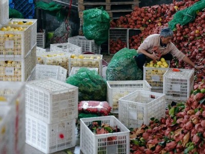 拼多多Q3財(cái)報(bào)：營(yíng)收1083億，“千億扶持”助力產(chǎn)業(yè)升級(jí)與農(nóng)業(yè)發(fā)展