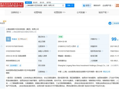 上海臨港新片區(qū)投資控股集團(tuán)增資至約210.7億