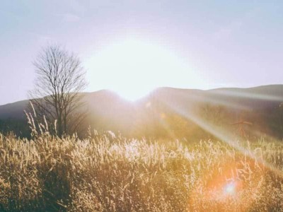 工業互聯網賦能：透視供應鏈全流程，開啟高效智能新篇章