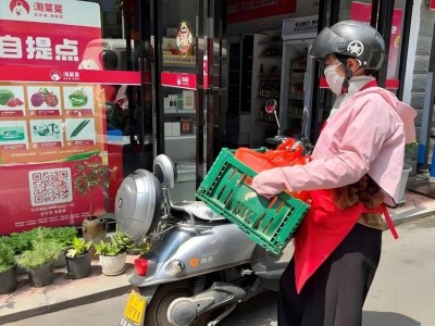 傳統(tǒng)電商遇冷,即時零售、直播電商、社區(qū)團購新勢力強勢崛起