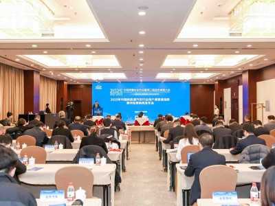 2025中國新能源汽車滿意度提升 自主品牌憑多元優勢領跑市場