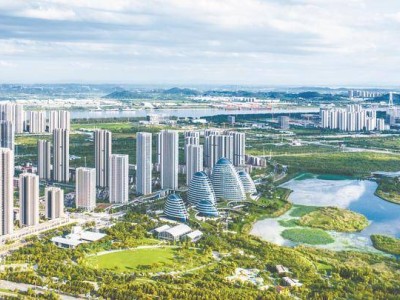 強(qiáng)化產(chǎn)業(yè)鏈精準(zhǔn)招商 武漢經(jīng)開(kāi)區(qū)以多元布局助力“中國(guó)車谷”躍升“世界車谷”