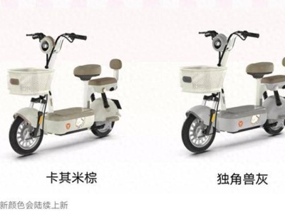 雅迪新國標(biāo)電動(dòng)車C09上市啦!前后座配車筐,配色上新滿足多樣需求