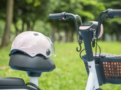 12月1日起“舊國標”電動自行車停售,已購舊車能否用?新車選購指南來了