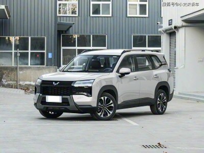 2025款星光560汽油版首發(fā)搶訂!10萬(wàn)級(jí)起售,大空間5或7座靈活布局實(shí)用性強(qiáng)