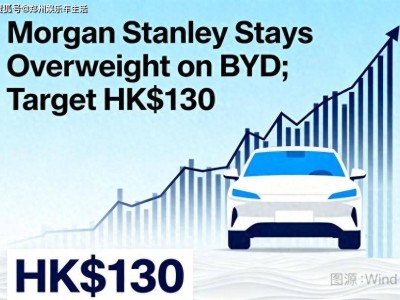 行業調整周期下，比亞迪憑何獲國際資本青睞成“香餑餑”？