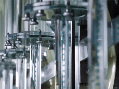 林嘉宇引領(lǐng)華寶國際“四化”升級 江西芯薈L6認(rèn)證彰顯轉(zhuǎn)型成效