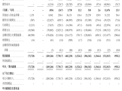 MiniMax通過上市聆訊:以低投入成全模態領先,海外營收占比超七成