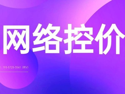 線上產品控價難題如何破？四大策略構建品牌價格防護網