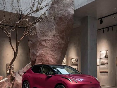 領克Z20上市周年：以安全智能與情感共鳴，開啟品質出行新體驗