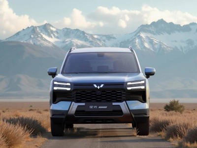 星光560 1月登場！提供純電插混燃油三動力 5.98萬起售空間還寬敞