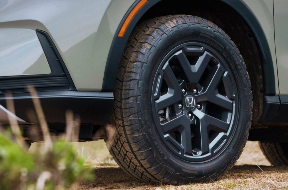 TrailSport版黑化處理