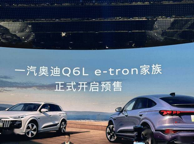奧迪Q6L e-tron車展現場圖