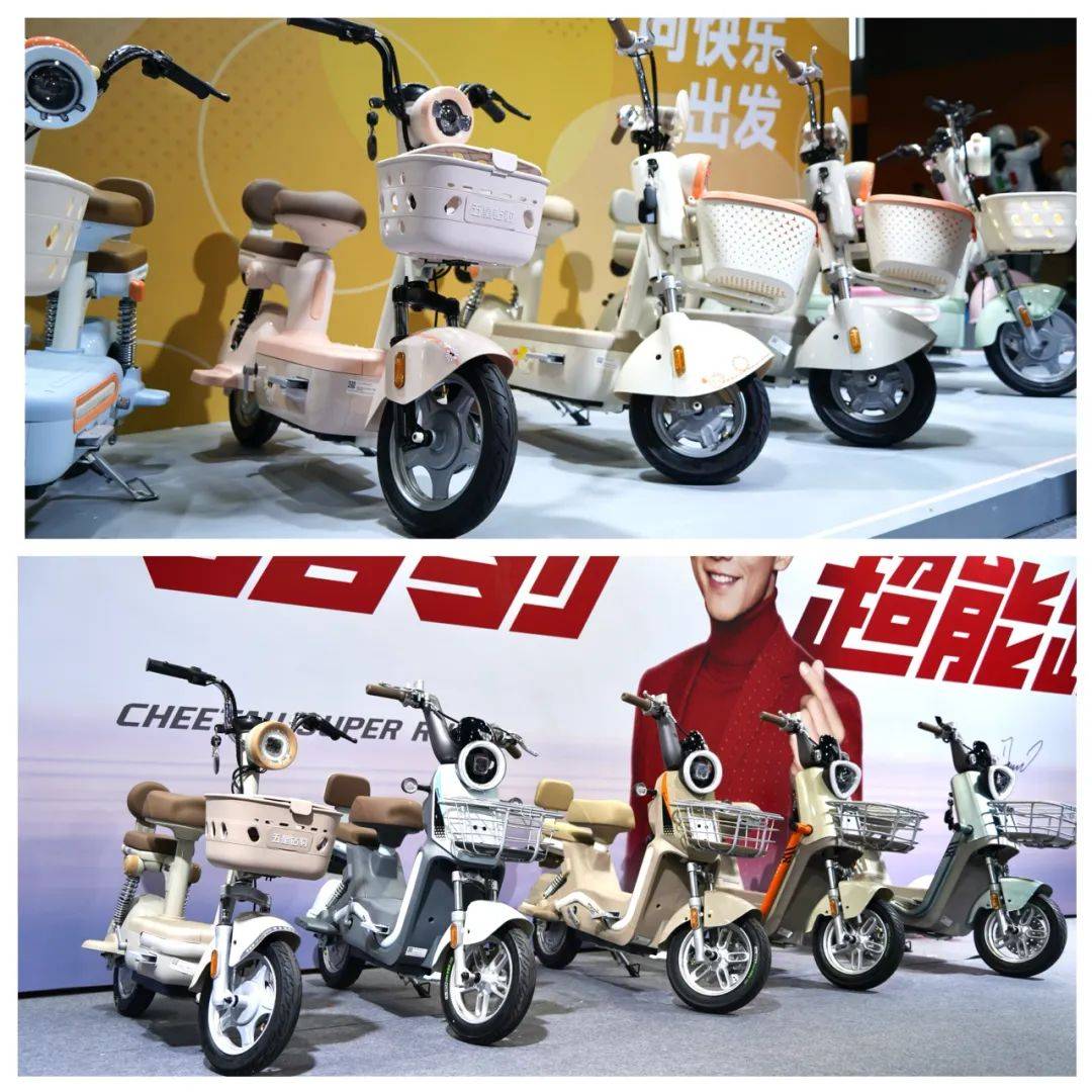 五星鉆豹未來展望
