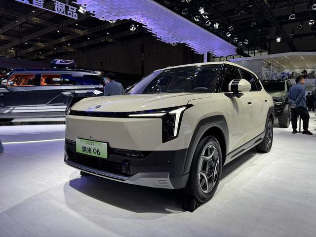 東風(fēng)納米06車型圖