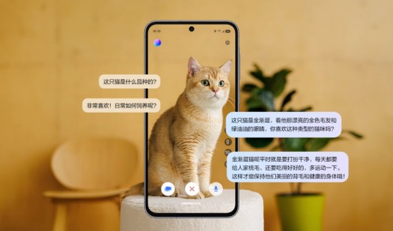 圖片10.jpg