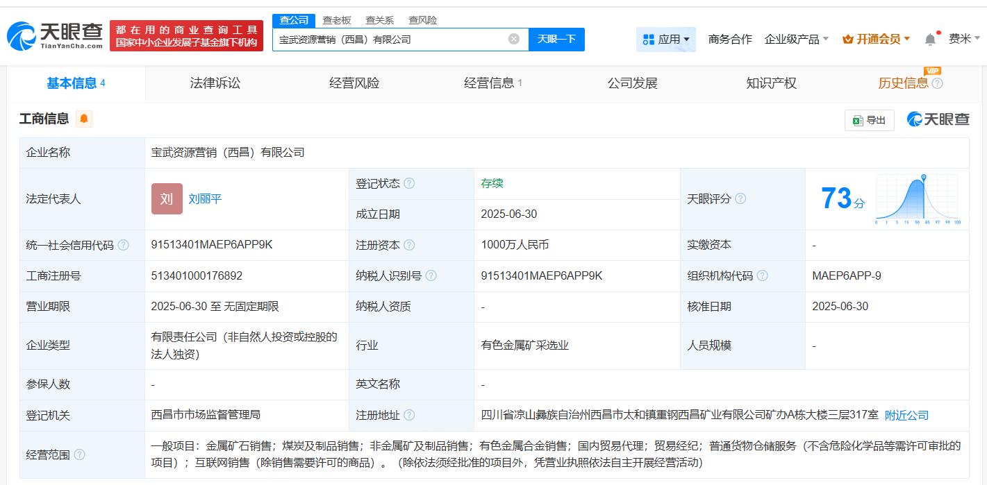 公司股權結構圖